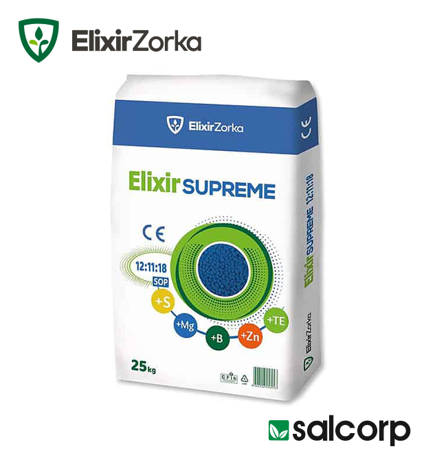 Elixir SSP - 25/1